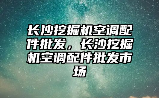 長沙挖掘機(jī)空調(diào)配件批發(fā)，長沙挖掘機(jī)空調(diào)配件批發(fā)市場