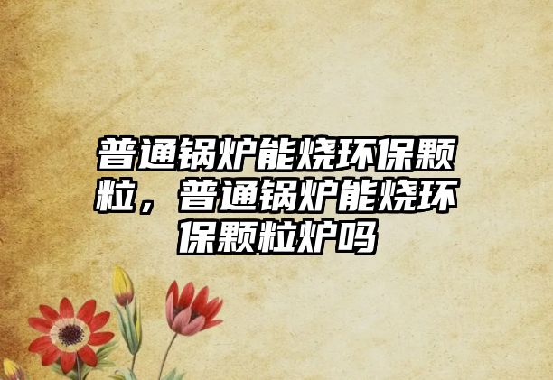 普通鍋爐能燒環(huán)保顆粒，普通鍋爐能燒環(huán)保顆粒爐嗎