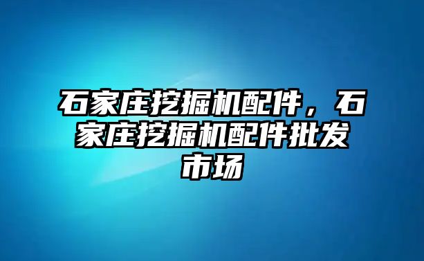 石家莊挖掘機(jī)配件，石家莊挖掘機(jī)配件批發(fā)市場