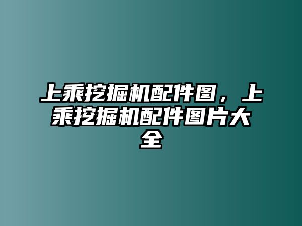 上乘挖掘機(jī)配件圖，上乘挖掘機(jī)配件圖片大全