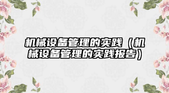 機(jī)械設(shè)備管理的實(shí)踐（機(jī)械設(shè)備管理的實(shí)踐報(bào)告）