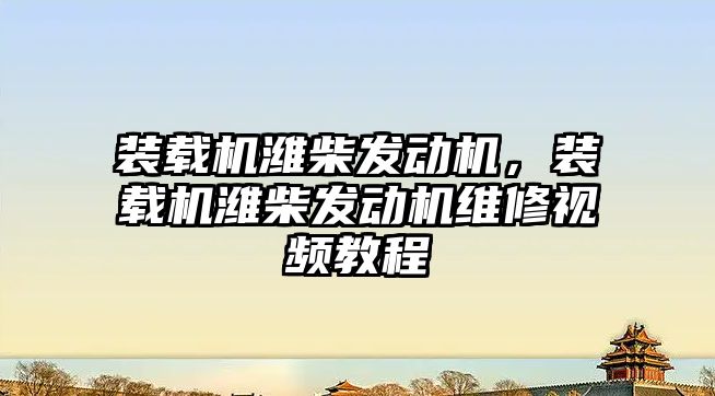 裝載機濰柴發(fā)動機，裝載機濰柴發(fā)動機維修視頻教程