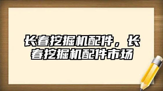 長春挖掘機配件，長春挖掘機配件市場