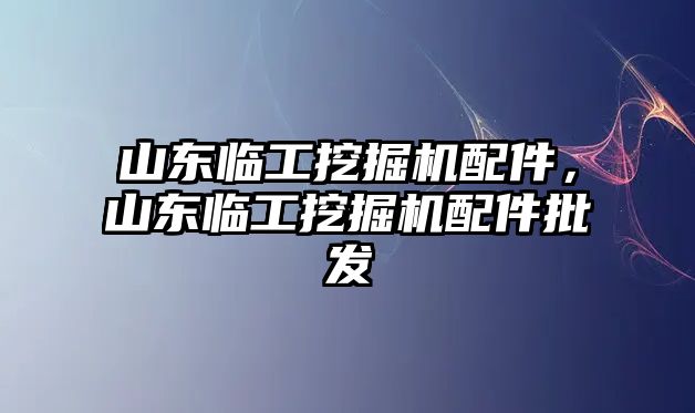 山東臨工挖掘機配件，山東臨工挖掘機配件批發(fā)