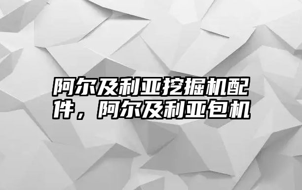 阿爾及利亞挖掘機配件，阿爾及利亞包機