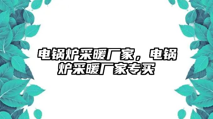 電鍋爐采暖廠家，電鍋爐采暖廠家專買