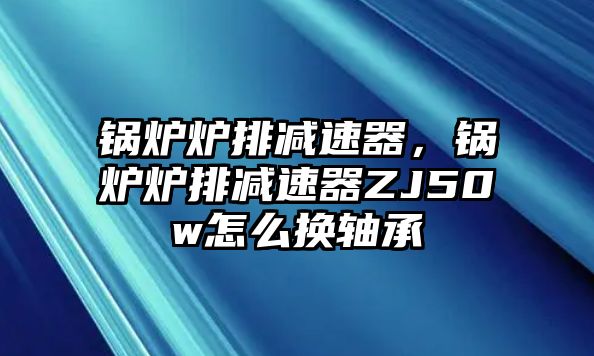 鍋爐爐排減速器，鍋爐爐排減速器ZJ50w怎么換軸承