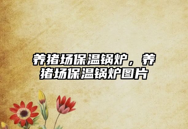 養(yǎng)豬場保溫鍋爐，養(yǎng)豬場保溫鍋爐圖片