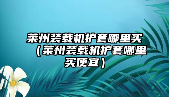 萊州裝載機(jī)護(hù)套哪里買（萊州裝載機(jī)護(hù)套哪里買便宜）