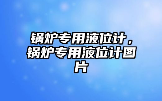 鍋爐專用液位計，鍋爐專用液位計圖片