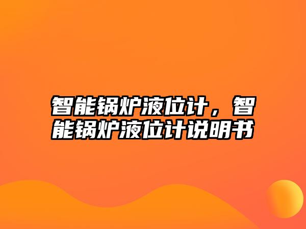 智能鍋爐液位計，智能鍋爐液位計說明書