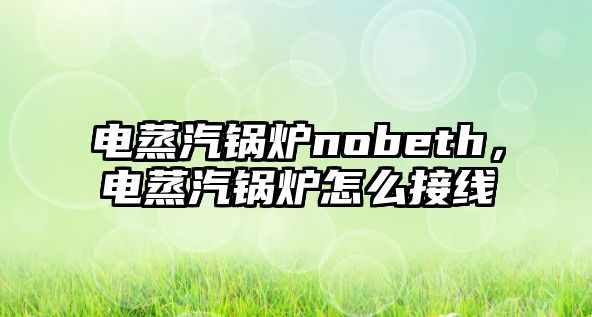 電蒸汽鍋爐nobeth，電蒸汽鍋爐怎么接線