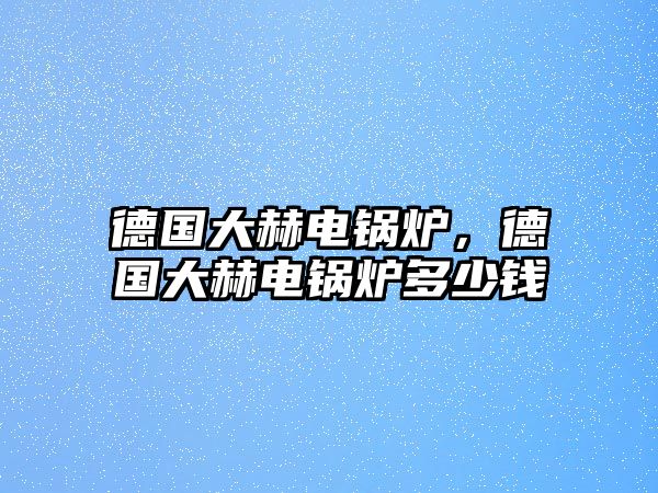 德國(guó)大赫電鍋爐，德國(guó)大赫電鍋爐多少錢