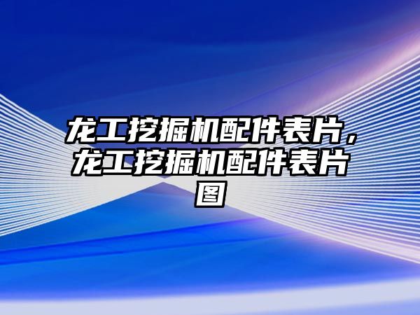 龍工挖掘機配件表片，龍工挖掘機配件表片圖