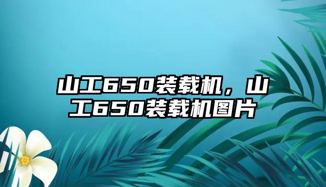 山工650裝載機，山工650裝載機圖片