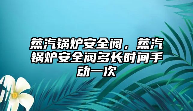 蒸汽鍋爐安全閥，蒸汽鍋爐安全閥多長(zhǎng)時(shí)間手動(dòng)一次