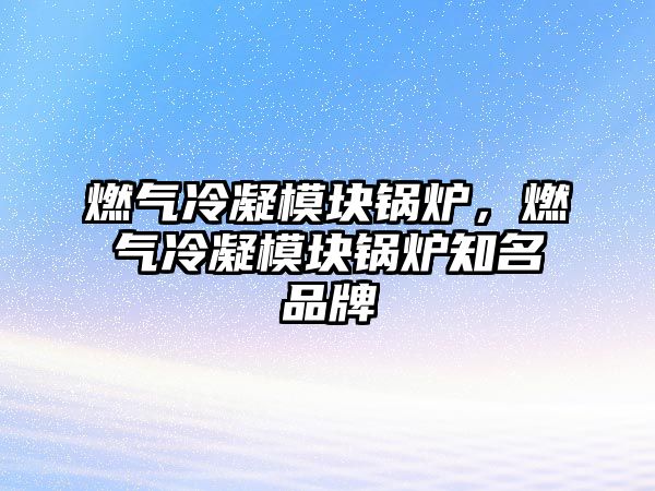 燃氣冷凝模塊鍋爐，燃氣冷凝模塊鍋爐知名品牌