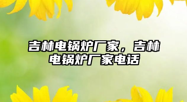 吉林電鍋爐廠家，吉林電鍋爐廠家電話