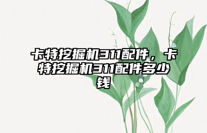 卡特挖掘機311配件，卡特挖掘機311配件多少錢