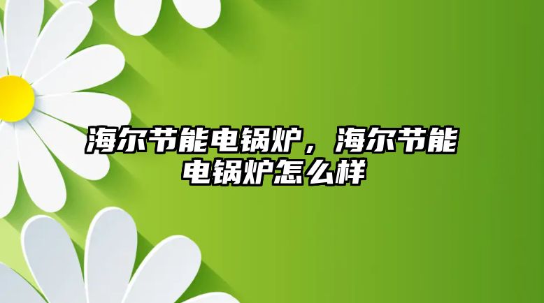 海爾節(jié)能電鍋爐，海爾節(jié)能電鍋爐怎么樣