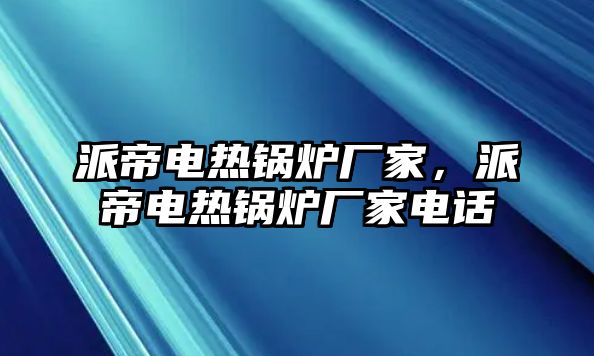 派帝電熱鍋爐廠家，派帝電熱鍋爐廠家電話