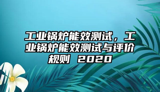 工業(yè)鍋爐能效測(cè)試，工業(yè)鍋爐能效測(cè)試與評(píng)價(jià)規(guī)則 2020