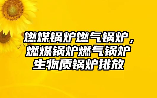 燃煤鍋爐燃氣鍋爐，燃煤鍋爐燃氣鍋爐生物質鍋爐排放