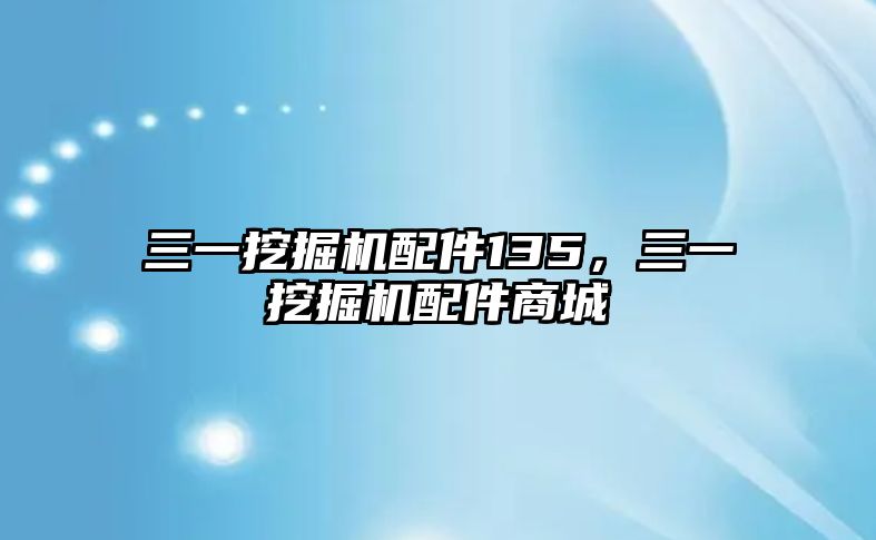 三一挖掘機配件135，三一挖掘機配件商城