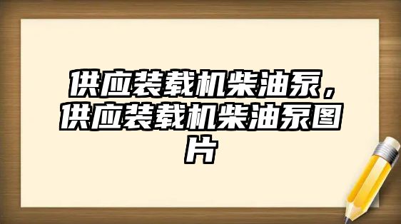 供應(yīng)裝載機(jī)柴油泵，供應(yīng)裝載機(jī)柴油泵圖片