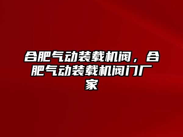 合肥氣動裝載機(jī)閥，合肥氣動裝載機(jī)閥門廠家