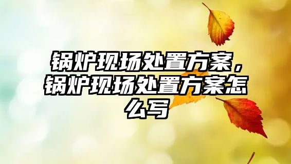 鍋爐現(xiàn)場處置方案，鍋爐現(xiàn)場處置方案怎么寫