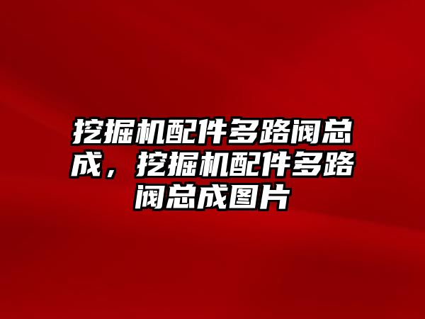 挖掘機(jī)配件多路閥總成，挖掘機(jī)配件多路閥總成圖片