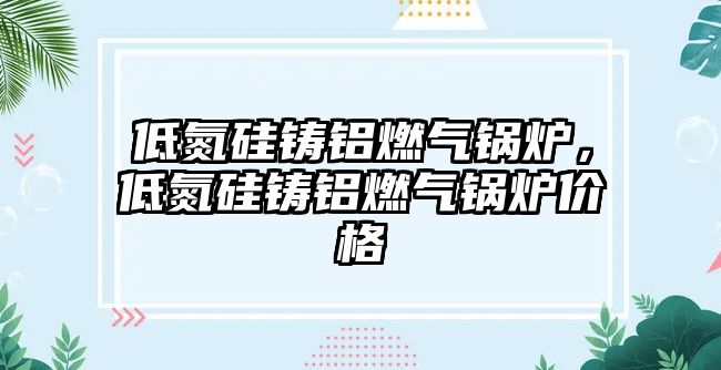 低氮硅鑄鋁燃氣鍋爐，低氮硅鑄鋁燃氣鍋爐價格