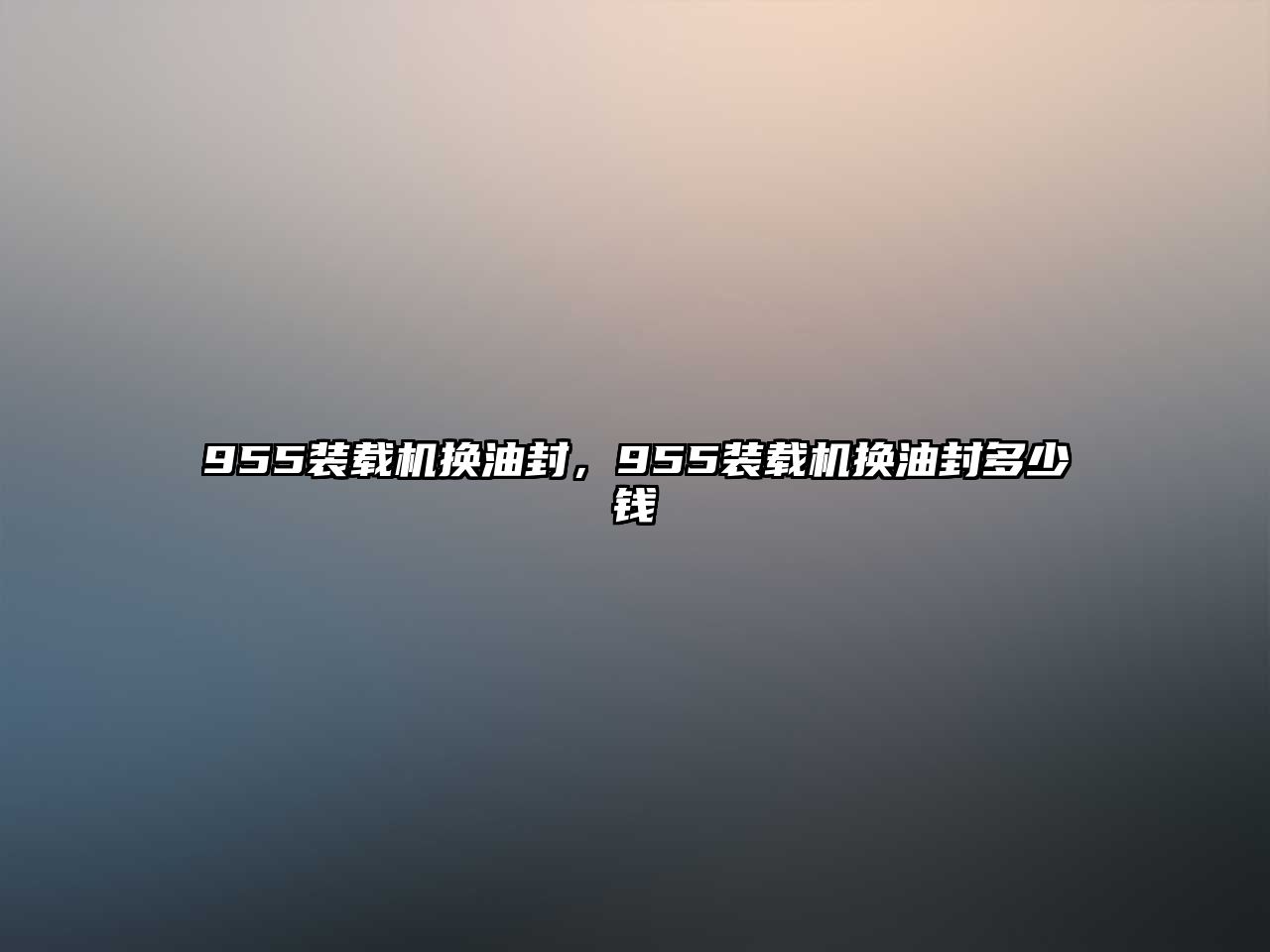 955裝載機(jī)換油封，955裝載機(jī)換油封多少錢(qián)