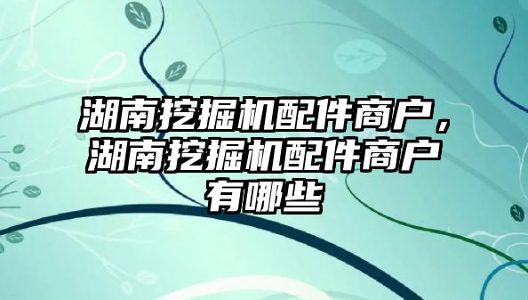 湖南挖掘機(jī)配件商戶，湖南挖掘機(jī)配件商戶有哪些