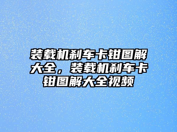 裝載機(jī)剎車卡鉗圖解大全，裝載機(jī)剎車卡鉗圖解大全視頻