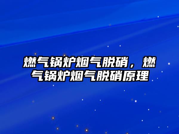 燃氣鍋爐煙氣脫硝，燃氣鍋爐煙氣脫硝原理