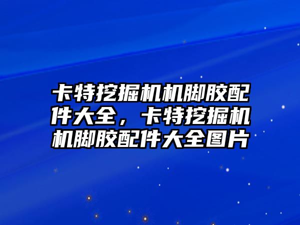 卡特挖掘機機腳膠配件大全，卡特挖掘機機腳膠配件大全圖片