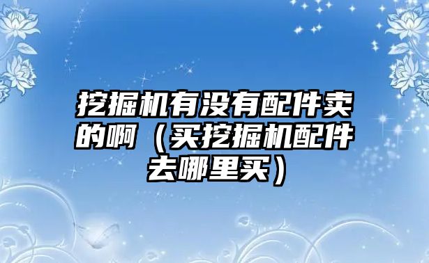 挖掘機(jī)有沒(méi)有配件賣(mài)的啊（買(mǎi)挖掘機(jī)配件去哪里買(mǎi)）