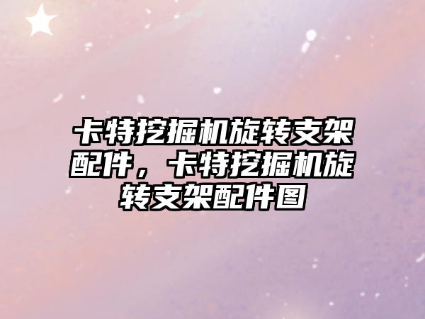 卡特挖掘機旋轉支架配件，卡特挖掘機旋轉支架配件圖