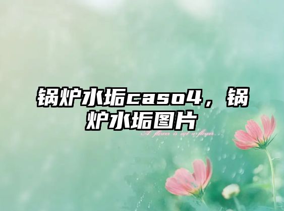 鍋爐水垢caso4，鍋爐水垢圖片