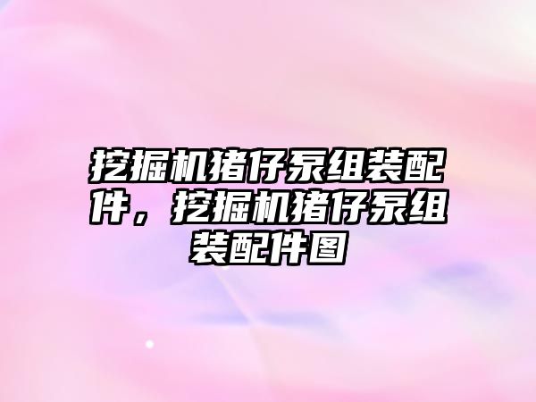 挖掘機豬仔泵組裝配件，挖掘機豬仔泵組裝配件圖