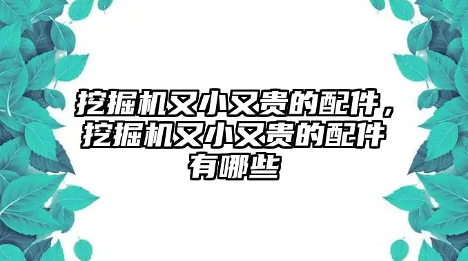 挖掘機(jī)又小又貴的配件，挖掘機(jī)又小又貴的配件有哪些