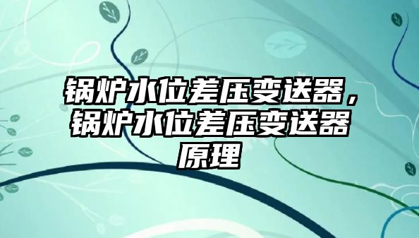 鍋爐水位差壓變送器，鍋爐水位差壓變送器原理