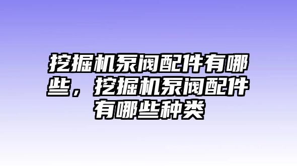 挖掘機泵閥配件有哪些，挖掘機泵閥配件有哪些種類