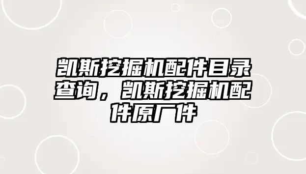 凱斯挖掘機配件目錄查詢，凱斯挖掘機配件原廠件