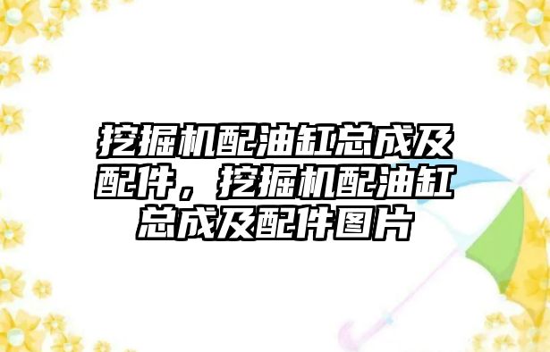 挖掘機配油缸總成及配件，挖掘機配油缸總成及配件圖片