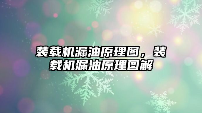 裝載機漏油原理圖，裝載機漏油原理圖解