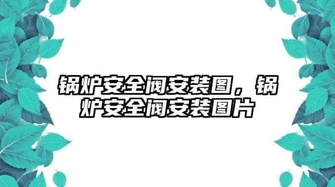 鍋爐安全閥安裝圖，鍋爐安全閥安裝圖片