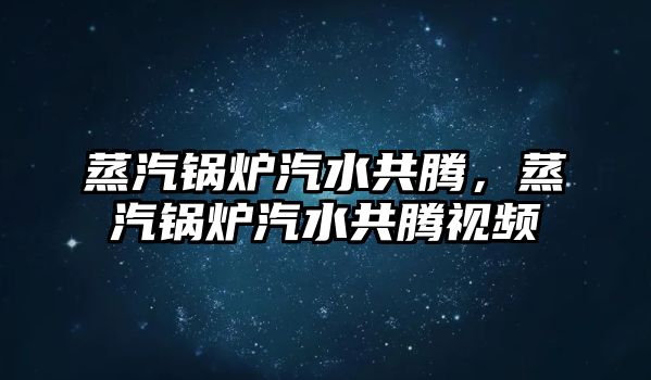 蒸汽鍋爐汽水共騰，蒸汽鍋爐汽水共騰視頻